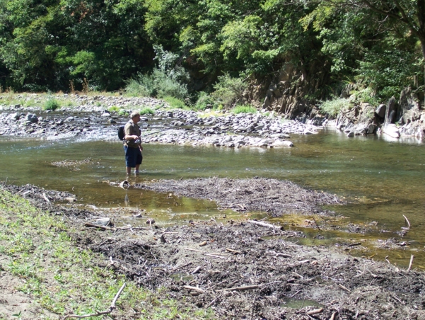  Image name: Fiume18.jpg 
 width: 601 pixel 
 height: 452 pixel 
 Size: 353669 bytes 
 Click to enlarge 